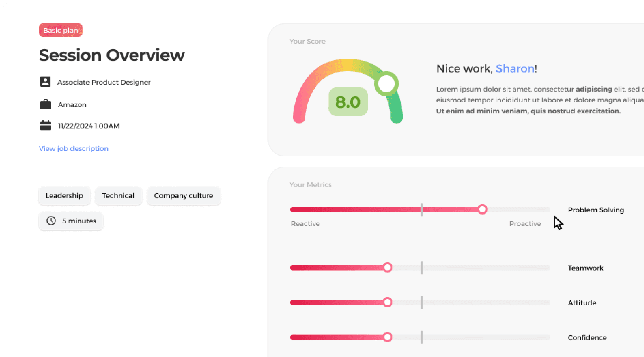 Pre-interview interface